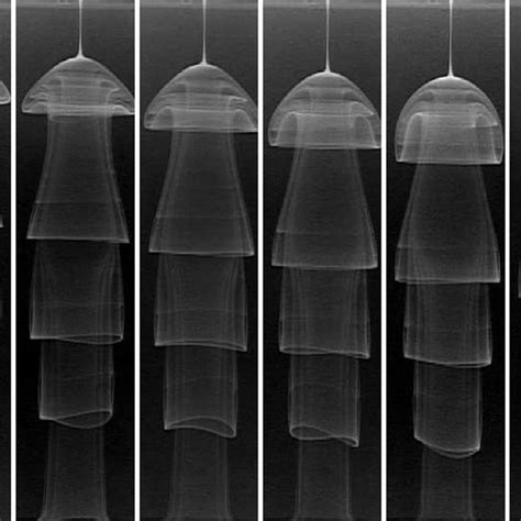 Image result for Dye Flow Visualization