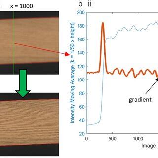 Image result for Average Gradient