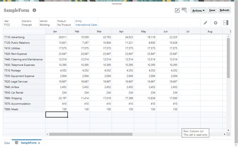 Form Add Row HTML Example 的图像结果