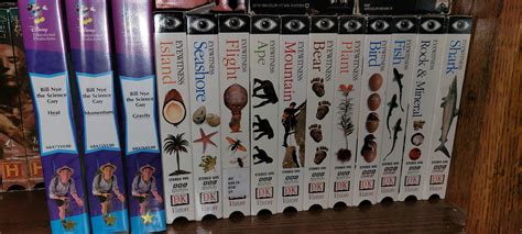 My Auction Addiction Almost Cost Me Everything - Truth or Fiction