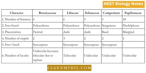 Image result for Angiosperms Classes