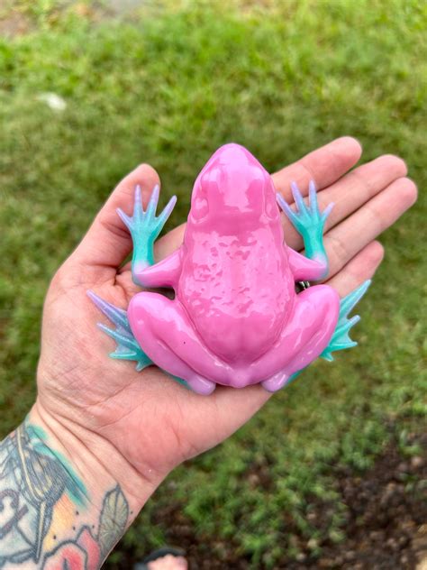 Poison Dart Frog Pink