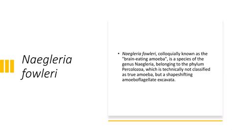 Naegleria fowleri | PPTX