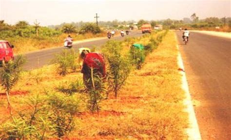 ODISHA FOREST DEVELOPEMENT CORPORATION