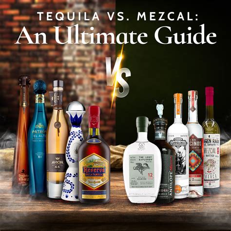 Tequila vs. Mezcal: An Ultimate Guide | Nestor Liquor