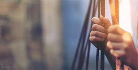 Human rights due diligence services