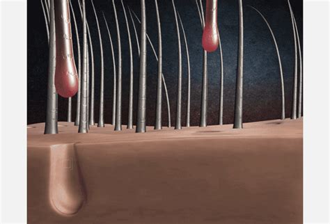 Hair Tonic 120ml - maccaron