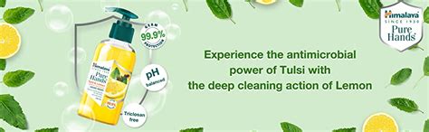 Himalaya Pure Hands Deep Cleansing Tulsi and Lemon Pump 250 ml : Amazon ...