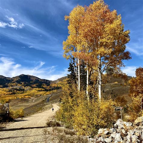 IMG_5213 | Maxine Mayer | Flickr