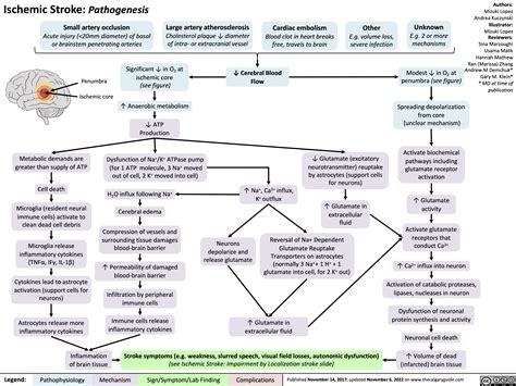 Lacunar Stroke Pathophysiology