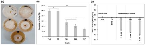 Silencing of the Laccase (lacc2) Gene from Pleurotus ostreatus Causes ...