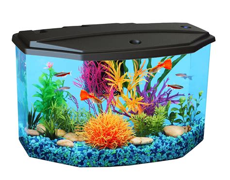 3 Gallon Fish Tanks