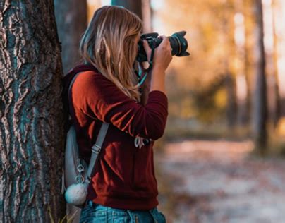 Sample Introduction 的图像结果