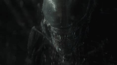 Image result for Alien Cov