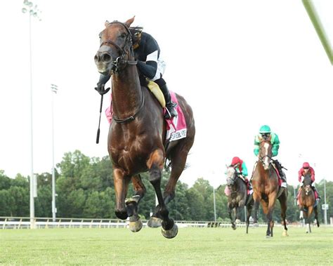 Fev Rover to defend her crown in Beverly D Stakes | TwinSpires