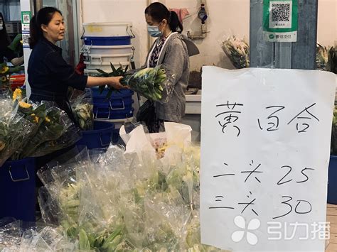 再逛一次芳村岭南花卉市场！别人买一束花的钱，你能买一车花！