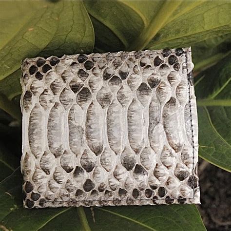 Image result for Embroider Python Skin