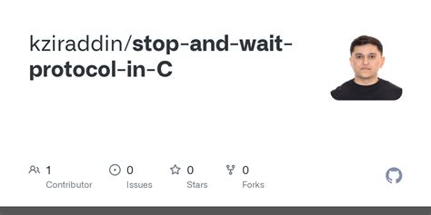 Implementation of Stop and Wait Protocol in C 的图像结果