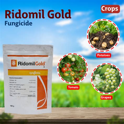 Fungicides for Plants: Protect Your Plants from Fungal Diseases – Agriplex