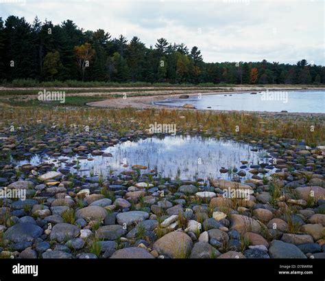 Wild shore Lake Huron at Negwegon State Park Michigan Stock Photo - Alamy