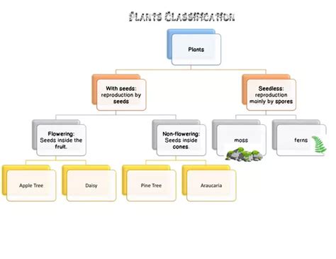 Plants Classification | profe.social