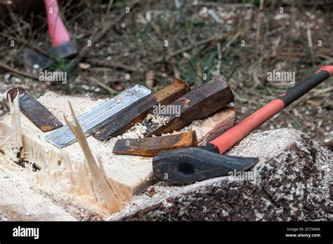 Image result for Tree Felling Tools Equipment