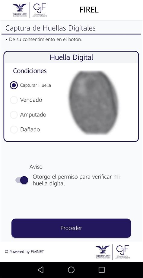 Tutorial Firel 的图像结果