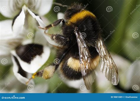 Image result for Example of Basic Information