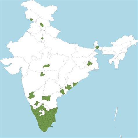 India Flora Online