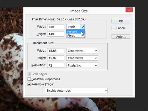 How to Resize an Image in Adobe Photoshop: 7 Steps