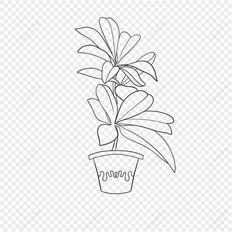 Huge Green Leaf Plant Clipart Black And White Leaf Sketch Large Leaf, Leaf, Large Leaf, White ...