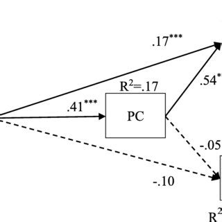 PS Parent Process 的图像结果