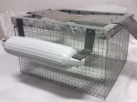 Image result for Building a Turtle Trap