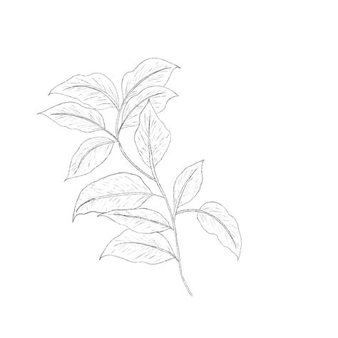 Image result for Procreate Documents