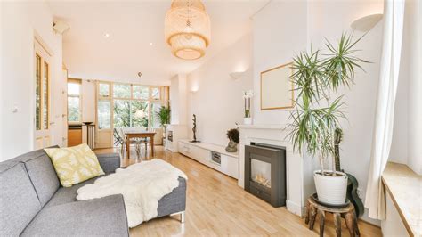 Pest Control Insulation Cost: Stop Pests & Save!