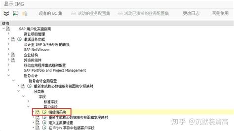 SAP Coding Block 的图像结果