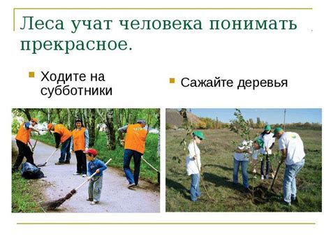 Полезные экологические привычки - презентация, доклад, проект скачать