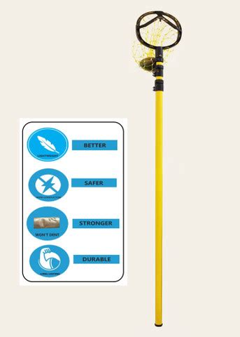 Festel 4-to-12 Foot Extendable Telescopic Pole with Mango Fruit Picker ...