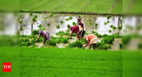 Microsoft announces programme for agritech startups in India - Times of ...