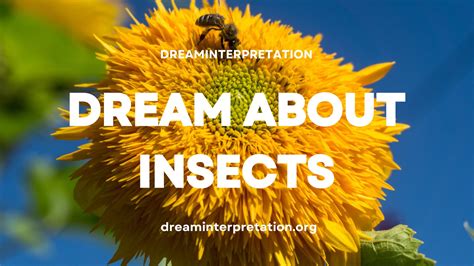 See Yourself in Dream (Interpretation & Spiritual Meaning)