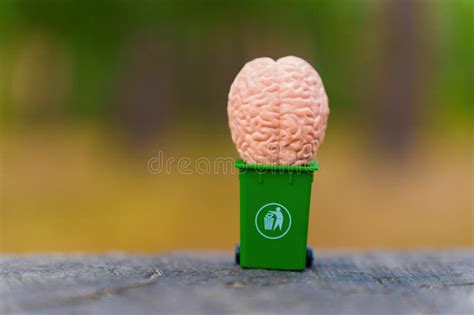 Image result for Storage of Waste Brain Map