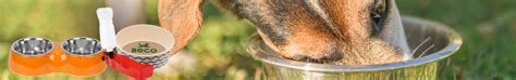 Dogs Bowls and Feeder Online | Dog Accessories Shop Near me
