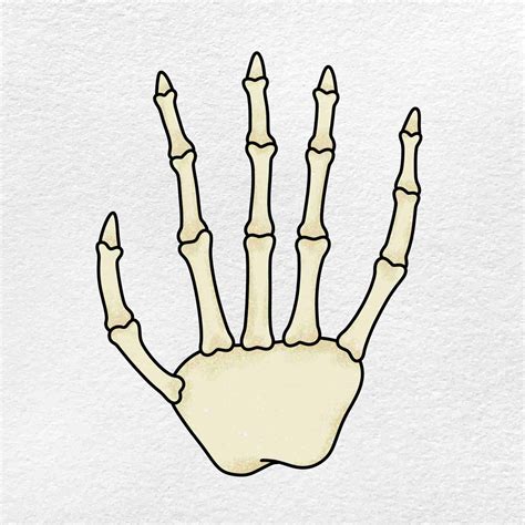 How To Draw A Skeleton Hand Easy