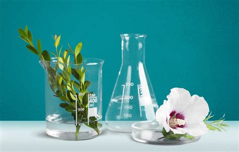 Product certification GMP - cosmetics | Good Manufacturing Practice in ...