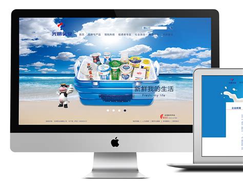 高端网站建设,企业网站定制,高端网站设计-汉邦未来北京网站建设公司