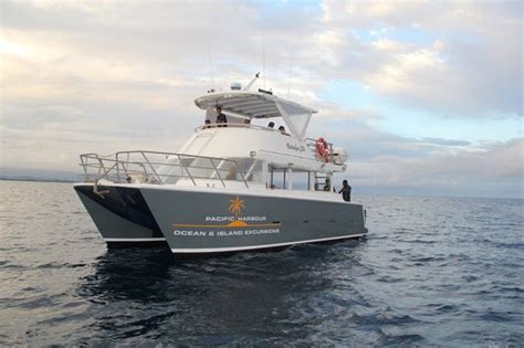 FREEDIVE FIJI CHARTERS - DAY TRIPS (Pacific Harbour) - What to Know ...