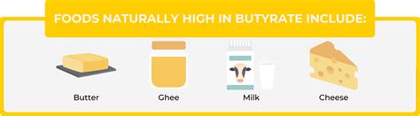 What Is Butyrate and Should You Supplement With It? - Perfect Keto