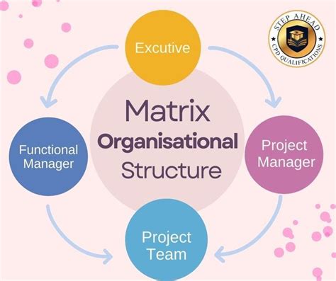 Types of Matrix Organizational Structure 的图像结果
