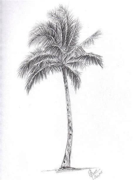 Image result for Simple Palm Tree Drawing