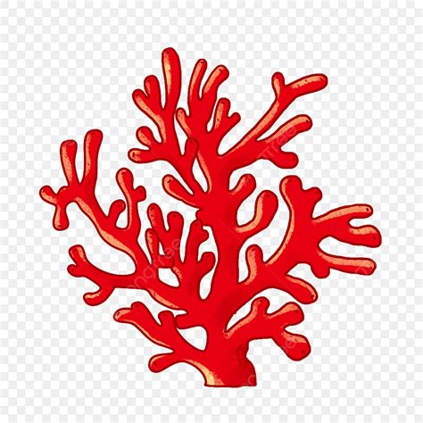 Clipart De Coral De Fa 12+ Thousand Coral Clipart Royalty Free Images,